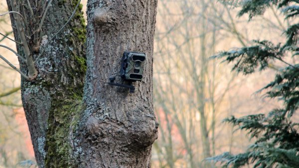 0円 高評価のクリスマスプレゼント アクティブトラッカー H982狩猟カメラ屋外 HD 4K写真トラップナイトビジョン野生生物赤外線狩猟トレイルカメラハント leDsのカメラ Color : H982